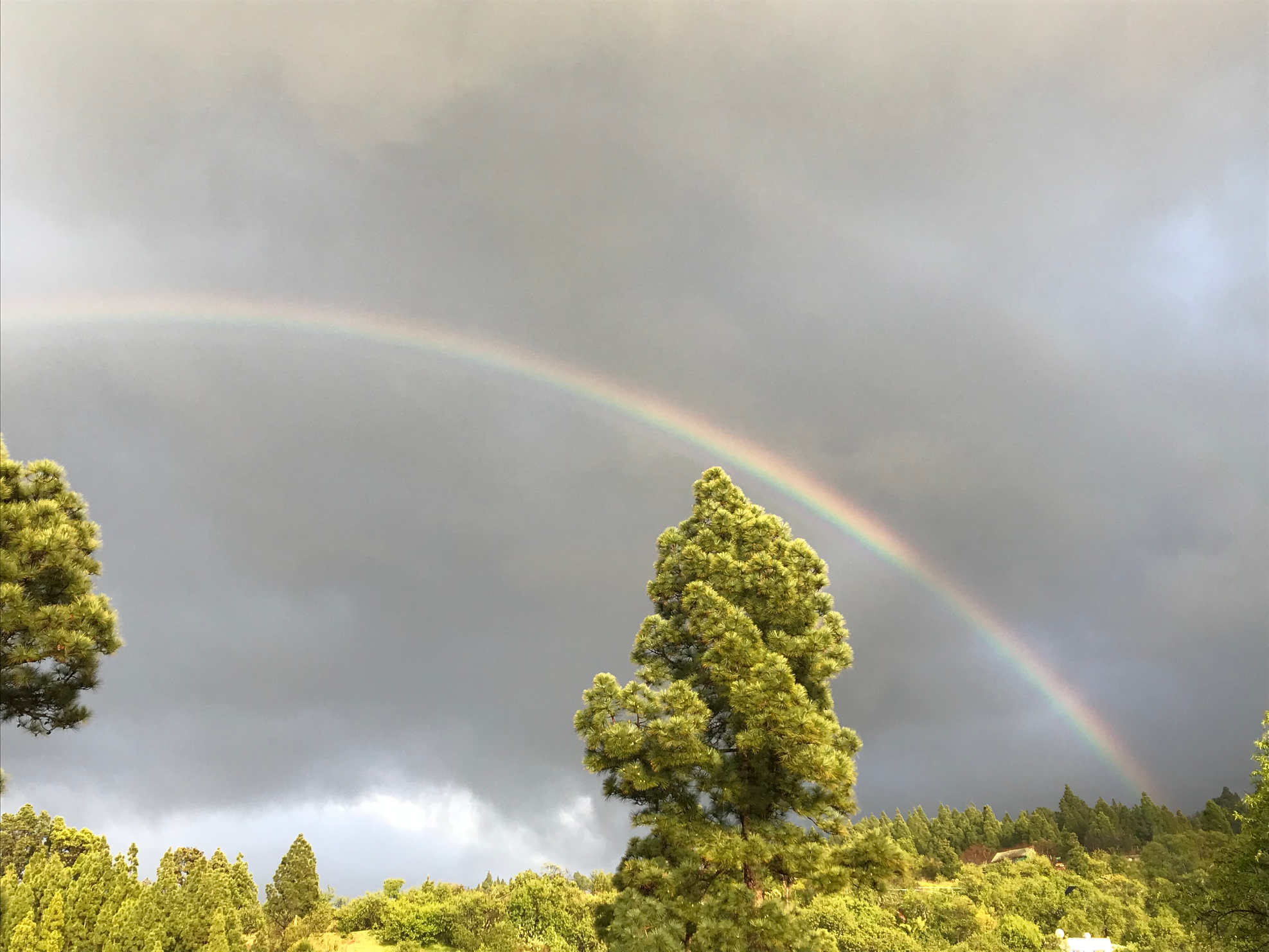 Regenbogen